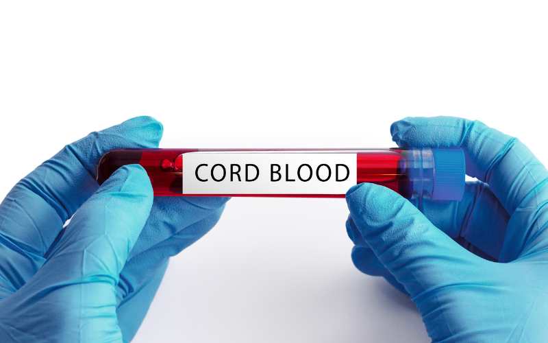 cord blood